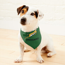 (Springbok Rugby supporter gear=566) 2-in-1 Pet Bandana Collar with Quick Release Buckle & D-Ring Adjustable Cat Scarf for Large/XLarge/XXLarge Dogs, Double-Sided Polyester Prints