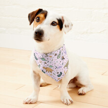 (Dinosaurs in Pink=470) 2-in-1 Pet Bandana Collar with Quick Release Buckle & D-Ring Adjustable Cat Scarf for Large/XLarge/XXLarge Dogs, Double-Sided Polyester Prints
