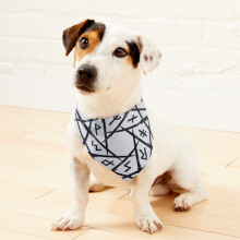 (Viking Runes=2482) 2-in-1 Pet Bandana Collar with Quick Release Buckle & D-Ring Adjustable Cat Scarf for Large/XLarge/XXLarge Dogs, Double-Sided Polyester Prints