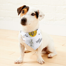 (Halloween skeleton, black cats and more =2560) 2-in-1 Pet Bandana Collar with Quick Release Buckle & D-Ring Adjustable Cat Scarf for Large/XLarge/XXLarge Dogs, Double-Sided Polyester Prints