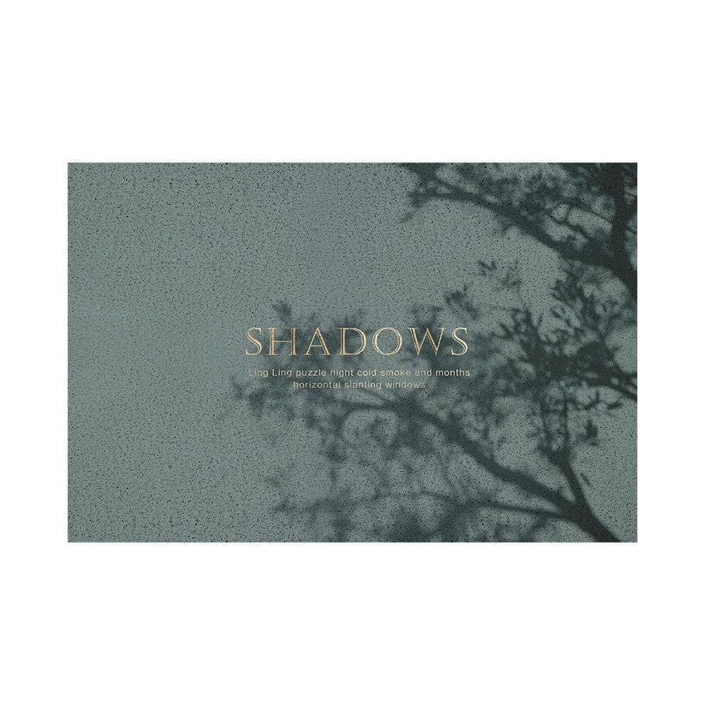 (Thinning shadow, 100X120cm39.3X47.2in) Home door mat, household scraping and dust removal carpet, entrance silk ring anti slip door mat