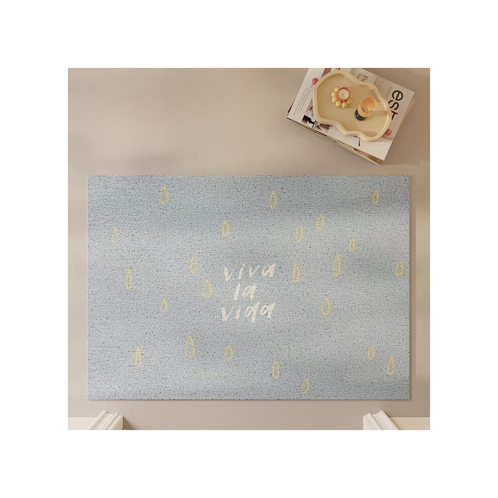 (smog, 60X90cm 23.6X35.4in) Raindrop dopamine silk ring home floor mat advanced sense door foot pad pvc non-slip and dirt-resistant custom foot pad