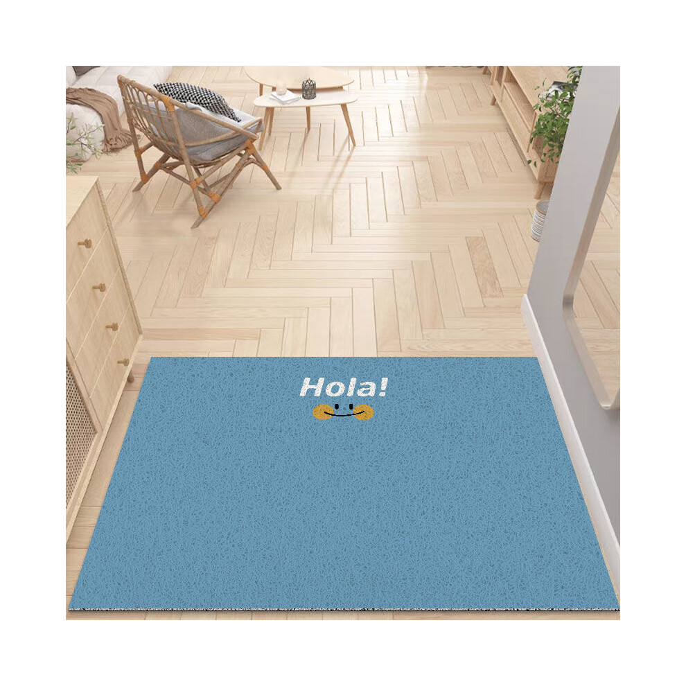 (Blue Ocean, 100X120cm39.3X47.2in) ins wind solid color Macaron entry color door floor mat, entrance door non-slip and wear-resistant foot mat, silk ring door mat