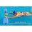 Water Gear Eco Bar Float - Ιδανικό για Άσκηση στο Νερό και Ελάχιστο Στρες 2