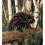 Folkmanis Porcupine Hand Puppet 2