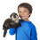 Folkmanis River Otter Handpop Bruin 1 EA 3
