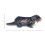 Folkmanis River Otter Handpop Bruin 1 EA 5