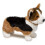 Douglas Douglas Kirby Tri-Color Corgi Dog ???t???? ?e  ?st? ??? 2