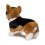 Douglas Douglas Kirby Tri-Color Corgi Dog ???t???? ?e  ?st? ??? 5