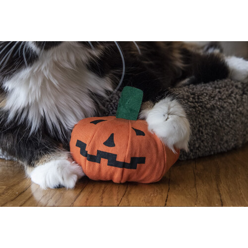 Yeowww Yeowww Halloween z dyni 1