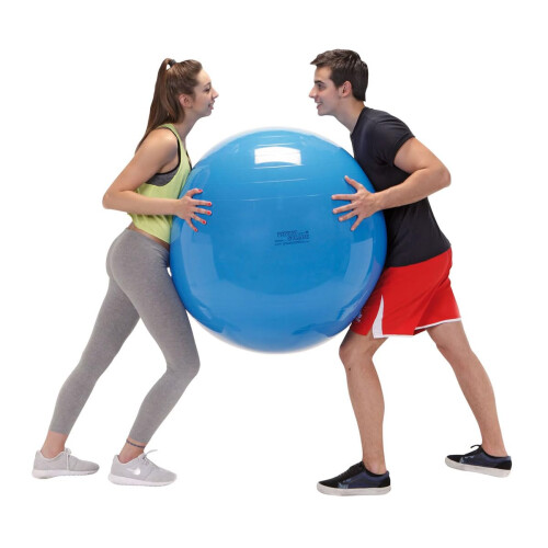 Gymnic Physio Exercise Ball  Blue 95 cm 1
