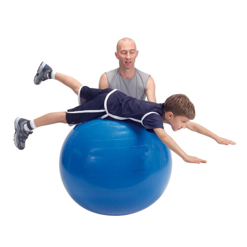 Gymnic Physio Exercise Ball  Blue 95 cm 2