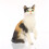 Conversation Concepts Calico Cat Figurine 1