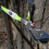 PROTECTOR DE TRONCO DE ÁRVORE ARB730LB 10 ft Resistência de 26.000 lbs Verde 5