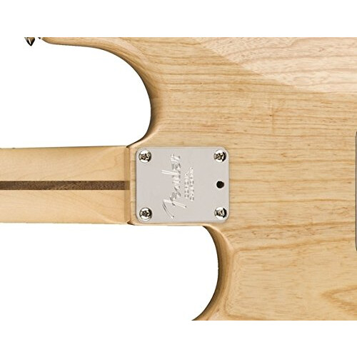 Fender Fender Standard Guitar Neck Plate Chrome 2