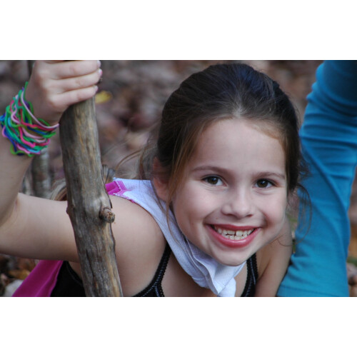 Silly Bandz Meerestiere     24er-Pack 2
