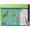 Famemaster 4D Vision Giraffe Anatomie Model 14,5 inch 2