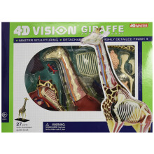 Famemaster 4D Vision Giraffe Anatomiemodell 14,5 Zoll
