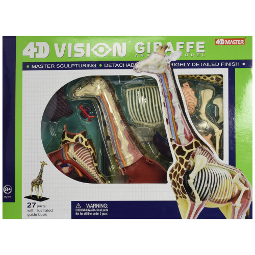 Famemaster 4D Vision Giraffe Anatomie Model 14,5 inch