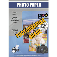 PPD 13x19