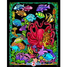 Stuff2Color Octopus Den  Fuzzy Plakt  Doraz bez barvy  Vechny vekov kategorie Zbava pri vybarvovn pro deti i dospel  Perfektn vnitrn ak