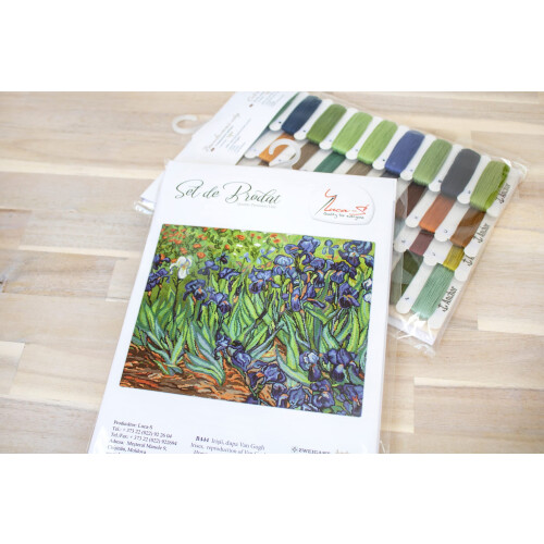 Lucas Kit de point de croix Motif iris de Van Gogh 1