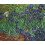 Lucas Kit de point de croix Motif iris de Van Gogh 1