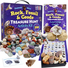 DANSENDE BJ?RN Rock Mineral & Geodes Treasure Hunt Activity Kit (250 stk s?t) ?gte hajt?nder Fossiler ID-ark & ????ock Book STEM