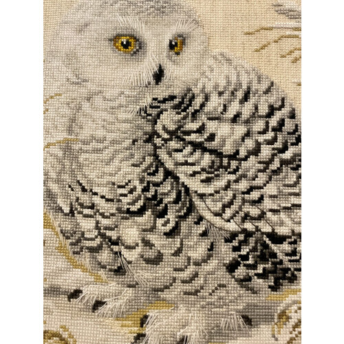RIOLIS 1241 Gufo bianco 2