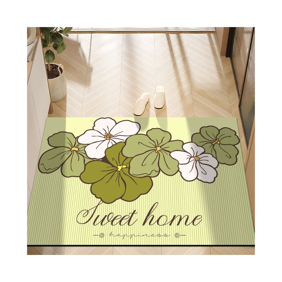 (New model 1, 40x60cm15.7x23.6in) Diatom mud floor mat cute absorbent floor mat household non-slip door floor mat entry floor mat