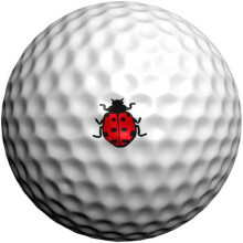 Golfdotz | Katicabogr | Golfgoly jellok golf kiegsztok golflabda azonossg jelzoje