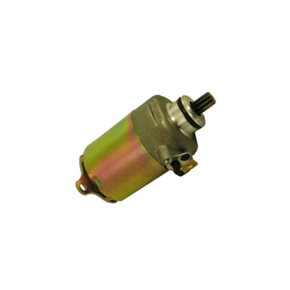 Starter Motor Hammerhead Twister 150 Series 150Cc Go Kart Starter M150-1064000 883099144516