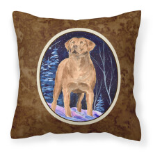 Caroline's Treasures SS8355PW1414 L tkov vank Starry Night Chesapeake Bay Retriever, velk , viacfarebn