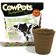 Cowpots TV208926 3 """" okragly doniczka z krw (12 paczek) 175 ml