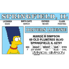 Signs 4 Fun Parody Drivers License | Marge ID | Fake ID Novelty Card | Collectible Trading Card Drivers License | Novelty Gift for Holidays | Made in