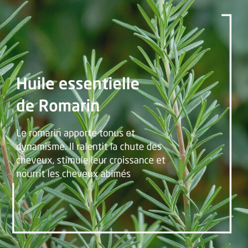 Weleda Weleda Revitaliserende Haartonic 100 ml 2