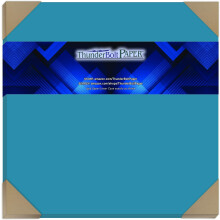 25 Bright Aqua Blue Cardstock 65lb Cover Paper 12 X 12 Inch Scrapbook Album Cover Size - 65 lb/Pound Lichtgewicht Cardstock - Kwaliteit Glad Papierop