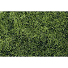 Shinoda Design Center 1 lb Bag bevaret & farvet gr?n spansk mos (0905301704)