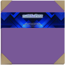 25 Bright Purple Cardstock 65lb Cover Paper 12 """" X 12 """" (12x12 inches) Scrapbook Album | Cover Størrelse - Lyse farver af Thunderbolt Paper