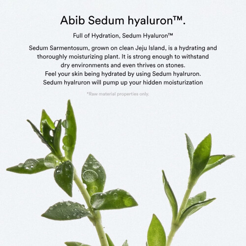 [Abib] Sedum ialuronico pad Tocco idratante (75 pad) 1