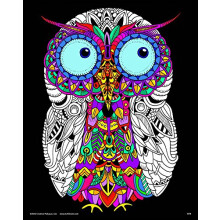 Baby Owl - Fuzzy Coloring Poster for Kids Toddlers Kids Teens and Adults Beautiful Arts and Crafts Project for All Ages Arrives Uncolored