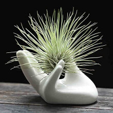 Dahey Air Plant Holder Cute Ceramic Mini Min Mand Shape Stand Airlandsia Small Caiter Pot Plant Decorative Decorative Home For Table Table Shelf