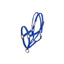 Cabestro de entrenamiento b sico Aime Imports, color azul