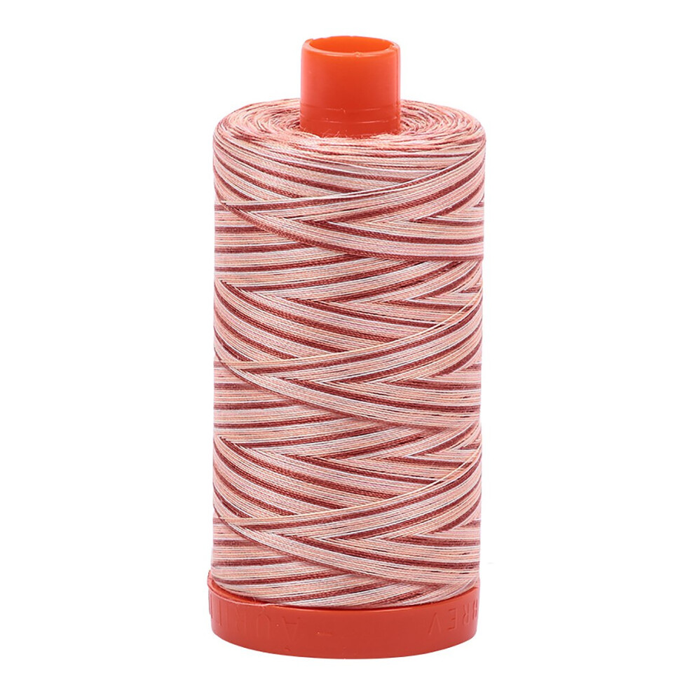 Fil     broder Aurifil en coton mako Vari Cinna, 50   % poids, 1   422   yards, panach   , 1   300   m