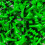 3-1/4"" Pride Performance Golf Tee Gestreept Citrusgroen 100 Count 1