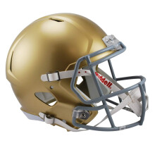 Casco Riddell NCAA Notre Dame Fighting Irish, r?plica de tama?o completo, r?plica de casco, estilo Speed, 2016, colores del equipo, talla ?nica