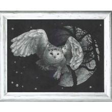 PANNA - Telpakket - Witte Uil - J-0359-14 Count - Aida Zwart - 22,5 x 30,5 cm - DIY-pakket