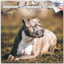 2023 2024 American Staffordshire Terrier Calendar - Dog Breed Monthly Wall Calendar - 12 x 24 Open - Thick No-Bleed Paper - Giftable - Academic T