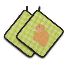 "Caroline's Treasures Pote Decorado com Coelho Holland Lop, 7.5"" x 7.5"""
