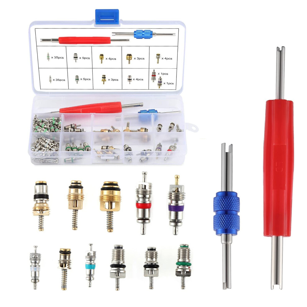 Ocr 102 Pezzi Nucleo Valvola Aria Condizionata Auto R12 R134A Stelo Valvola Pneumatico Refrigerazione Aria Condizionata Auto Con Doppia Testa Dop-image